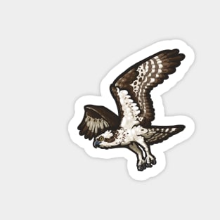 Osprey Sticker